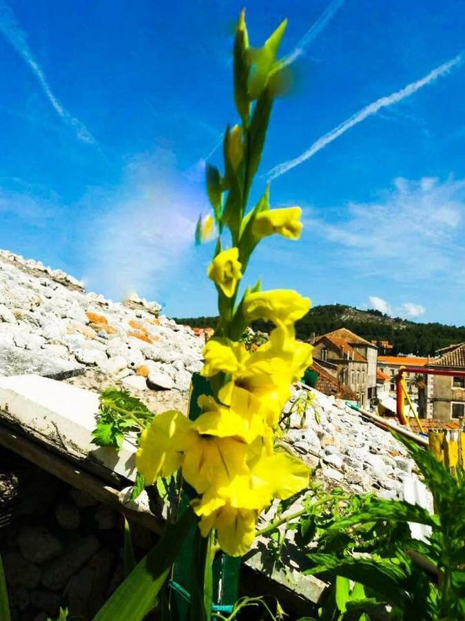 Guest House San Nikola Stari Grad  Exterior photo